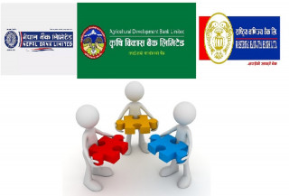 तीन वटा सरकारी बैंकको मर्ज !  मर्जर पछि बन्ने बैंक कस्तो होला ? 
