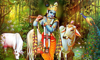 आज बुधबार, गर्नुहोस् कृष्ण भगवानको पूजा