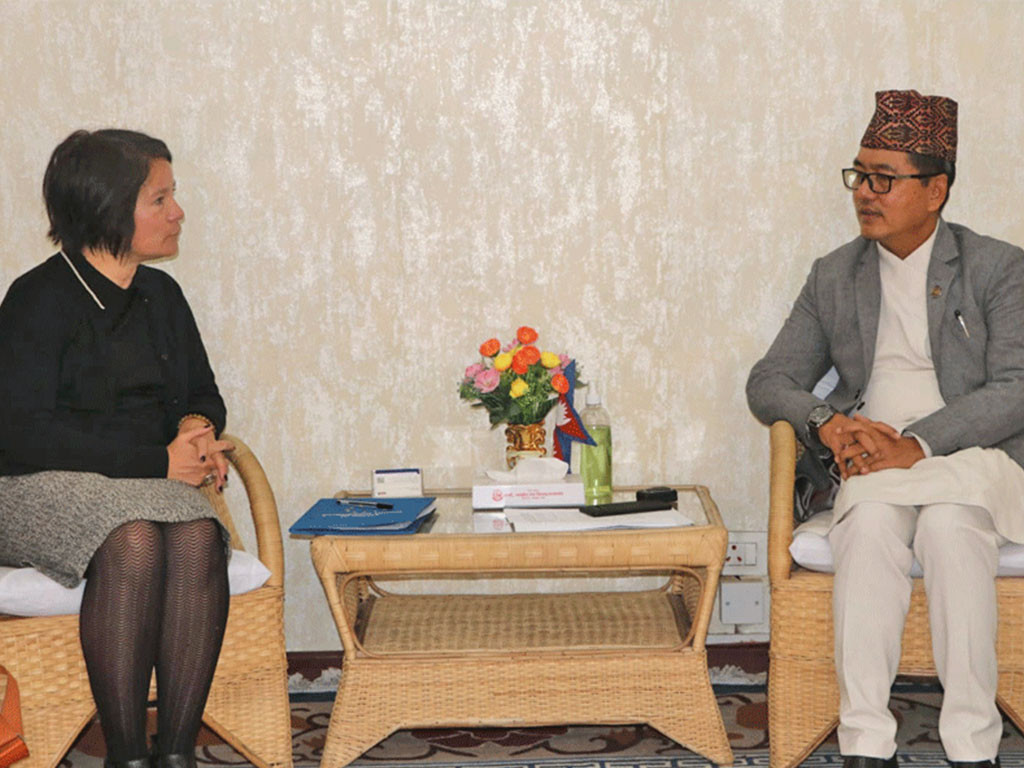 उर्जामन्त्री लिङ्देन र युरोपियन युनियन राजदूत डिप्रेजबीच भेटवार्ता, के भयो कुराकानी ?