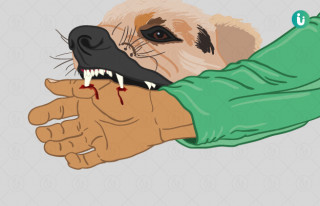 रेबिजका कारण गोरखामा चार वर्षीय बालकको ज्यान गयाे