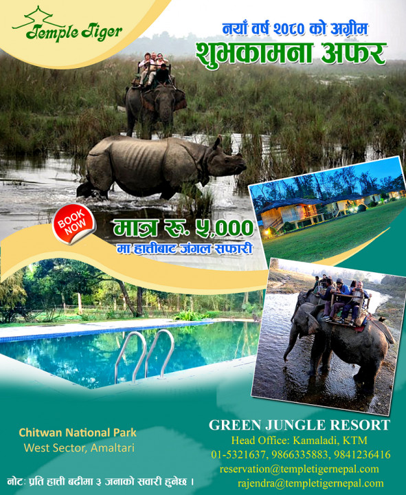 New year elephant offer 2.png