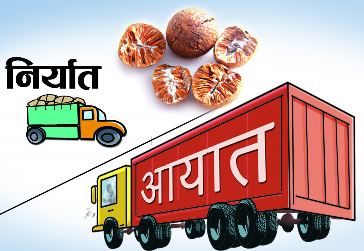 ८ महिनामा मुलुकको व्यापार घाटा ९ खर्ब ५३ अर्ब ५८ करोड, आयात निर्यात दुवै घट्यो