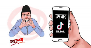 टिकटक हेरेर व्यथा च्वाट्टै ?