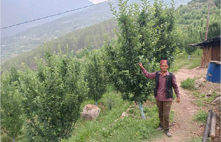 बेपत्ता भएका टिकाराम पुन २४ वर्षपछि सम्पर्कमा