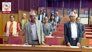 एमालेको अवरोधपछि राष्ट्रियसभाको बैठक पनि २९ मिनेटका लागि स्थगित