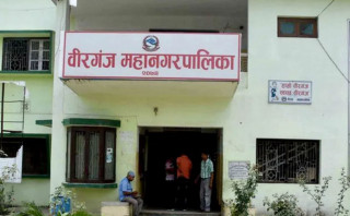 उपयोगविहीन ३३ बिघा ऐलानी जग्गामा महानगरपालिकाले तरकारी खेती गर्ने 