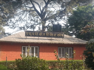 पशुपति क्षेत्र विकास कोष सञ्चालकमा २ जना सदस्य नियुक्त