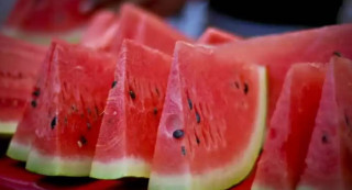 रूसी वैज्ञानिकहरु अन्टार्कटिकामा तरबुजा फलाउन सफल