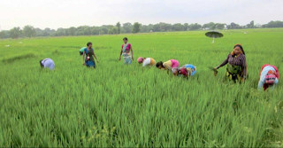 जलवायुबारे डिजिटल नक्सा तयार गरिने, किसानलाई राहत हुने