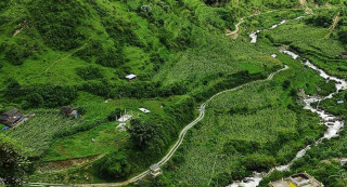 हावाहुरी र वर्षाले बागलुङका विभिन्न स्थानमा मकै बाली नष्ट