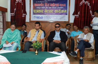 तीज महोत्सवमा भलिबल प्रतियोगिता