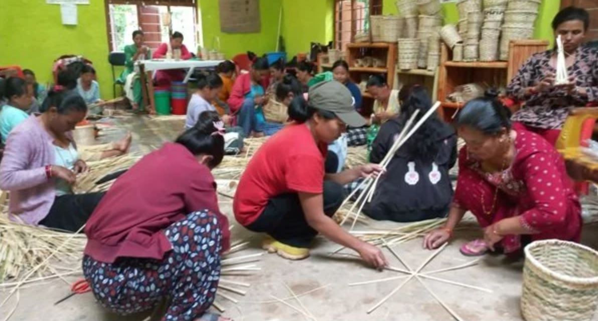 बाँसका सामग्रीबाट आय आर्जन गर्न महिलालाई तालिम