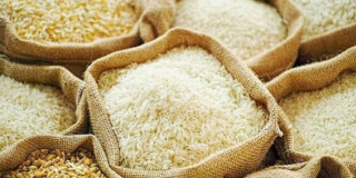पहाडी जिल्लामा चामल पठाउँदै खाद्य संस्थान