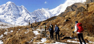 चिसो बढेसँगै कञ्चनजङ्घा क्षेत्रमा पर्यटक घटे