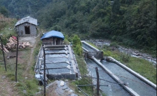 विदेशबाट फर्केर सामूहिक माछापालनमा रमाएको तीन युवा 
