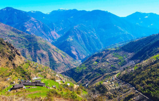 पशुपालक किसान घटेपछि उराठ बन्दै खर्क