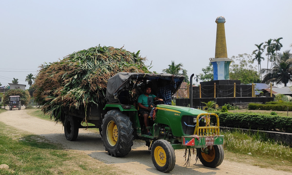 बोटसँगै मकै बिक्री भएपछि किसान उत्साहित