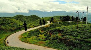 भारतीय सीमा ‘सिल’ गर्दै नेपाल