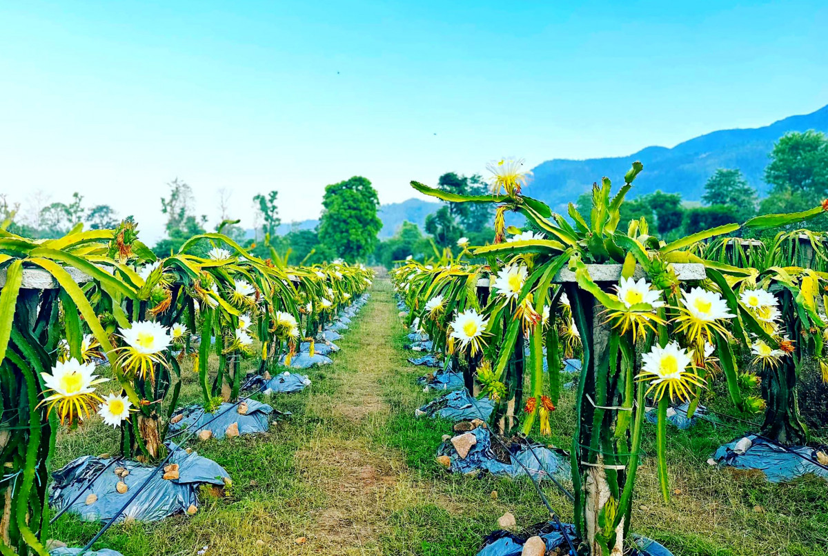 SA_Surkhet-IMG_5610.jpg