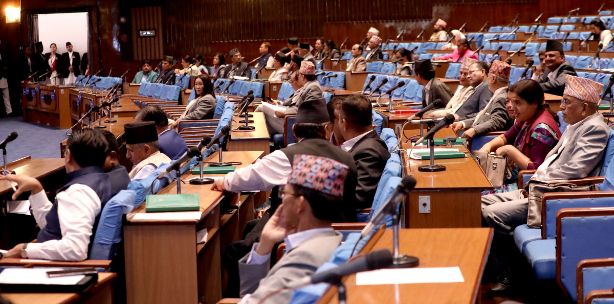 प्रतिनिधिसभा बैठक : समयमै मल उपलब्ध गराउन र सडक निर्माण गर्न सांसदहरुको आग्रह