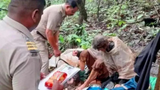 अमेरिकी महिला भारतमा भोकै र रुखमा बाँधिएको अवस्थामा परिन् फेला