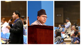 संसदमा एमाले र माओवादी केन्द्रबाहेक अन्य पार्टीका सांसदहरू तैचुप–मैचुप