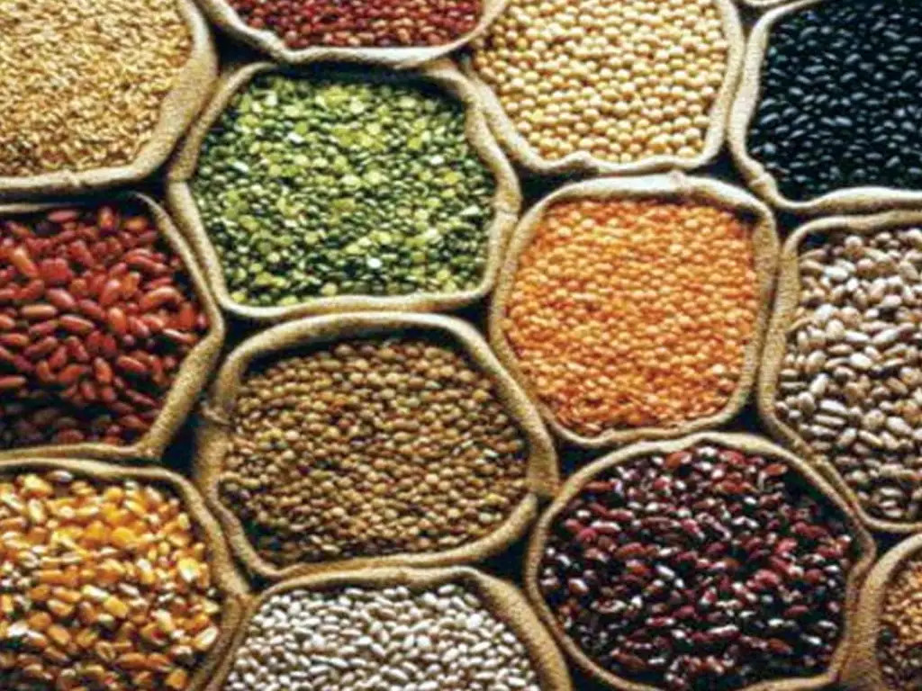 घट्यो दाल-गेडागुडीको अग्रिम आयकर