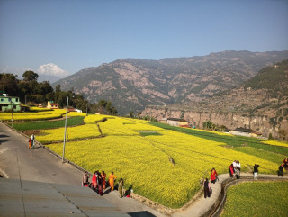 टिकटक बनाउन कै लागि जाने थाले रत्नेचौर 