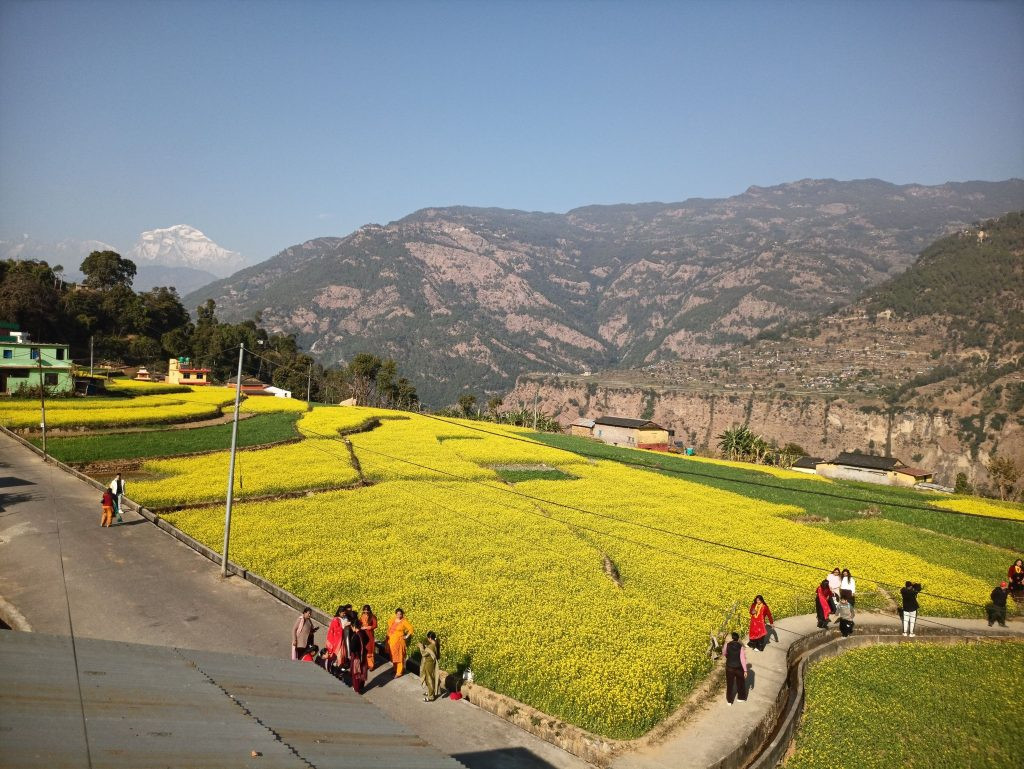 टिकटक बनाउन कै लागि जाने थाले रत्नेचौर 