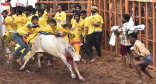 साँढे जुधाई क्रममा ७ जनाको मृत्यु, ४०० जना घाइते