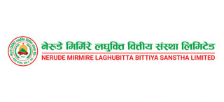 नेरुडे मिर्मिरे लघुवित्तको ३ लाख संस्थापक सेयर बिक्रीमा