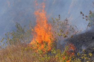 २४ घण्टामा देशभर १७ आगलागीका घटना