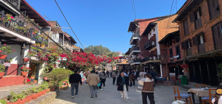 दसैँमा सुनसान बन्दीपुर, आन्दोलनपछि घटे पर्यटक