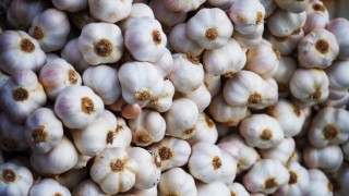 ६६ करोडको लसुन आयात