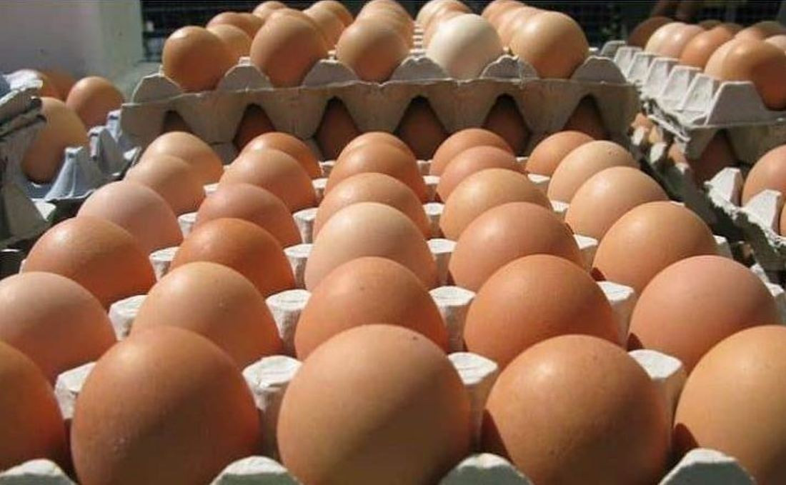 फेरि बढ्यो अण्डाको मूल्य