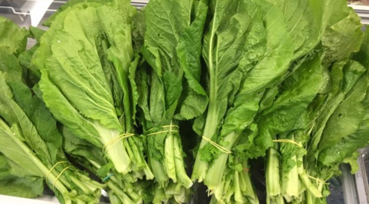 रायोको सागमा भेटियो ९९ प्रतिशत विषादी