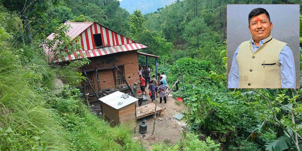 बेपत्ता परिवारको अँगेनामा २ धार्नी सुँगुरको मासु, पालिका अध्यक्ष भन्छन्: सूचना ढिलो प्राप्त भयो