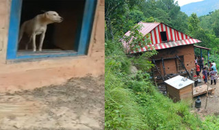 हायु परिवारका सबैको मोबाइल स्विच अफ, रित्तो घरमा रोइरहेछ कुकुर, भैंसीबाख्रा पनि अलपत्र