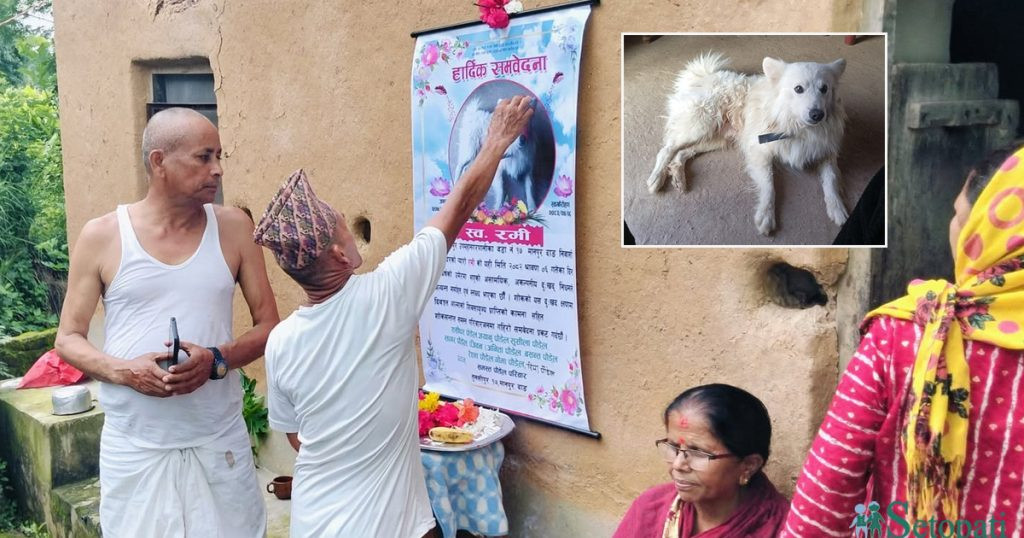 कुकुरको काज किरिया, जब सन्तान जसरी हुर्काएको कुकुरको मृत्यु भयो