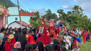आज गाईजात्रा, देशभर विभिन्न कार्यक्रमको आयोजना गरी मनाइँदै