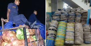 तरकारीको गाडीभित्र ठूलो परिमाणमा भेटियो गाँजा, तीन जना पक्राउ