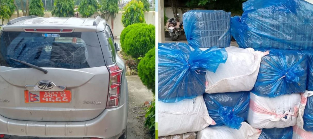 बेवारिसे कारबाट ५ सय ३८ किलो गाँजा बरामद, चालक फरार