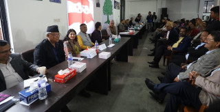 काँग्रेस केन्द्रिय समिति बैठक जारी