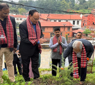 नेपाल एसबिआई बैंक लिमिटेडद्धारा पशुपति मन्दिर परिस कैलाश डाँडांमा वृक्षारोपण कार्यक्रम