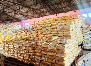 कर्णाली प्रदेशमा रैथाने बाली संरक्षणमा जोड, लोपोन्मुख बालीलाई ‘मूल्यवान्’ लोगो