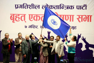 प्रगतिशील लोकतान्त्रिक पार्टीमा पाँच सदस्यीय अध्यक्ष परिषद, को को परे ?