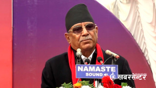 जेनजी कसैको पेवा होइन, कसैले स्टन्ट नगरे हुन्छ : प्रचण्ड