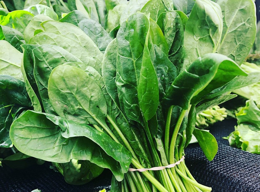 स्वास्थ्य र सुन्दरताका लागि वरदान हो पालक