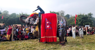 सौराहामा हात्ती महोत्सव : आज हात्ती पूजा र वनभोज