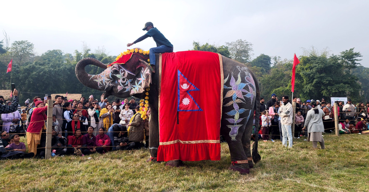 सौराहामा हात्ती महोत्सव : आज हात्ती पूजा र वनभोज